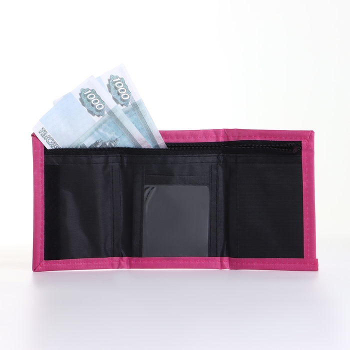 Кошелёк детский на липучке &laquo;Выбражулька&raquo;, цвет розовый