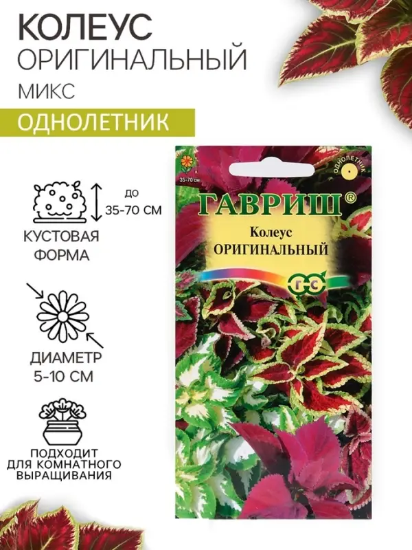 Семена цветов Колеус "Оригинальный", ц/п,  смесь,  0,03  г