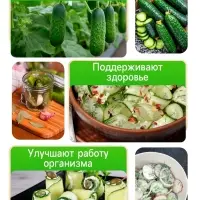 Семена огурца "Внученька", F1, 10 шт.