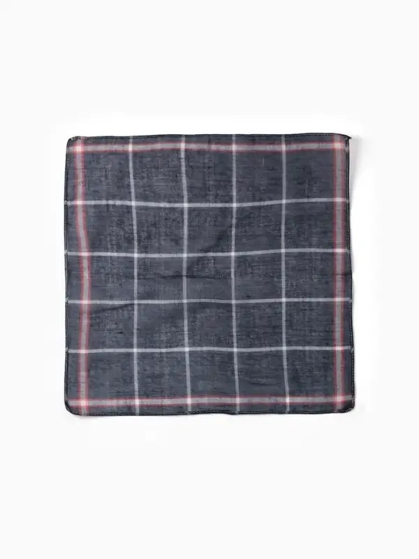 Платки носовые мужские Экономь и Я "Клетка" 38*38 см, (набор 10 шт), рис. МИКС,100% пэ