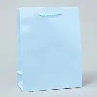Пакет подарочный ламинированный, упаковка, &laquo;Голубой&raquo;, MS 18 х 23 х 8 см
