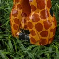 Сувенир &laquo;Целующиеся жирафы&raquo;, 25&times;4&times;10 см, дерево