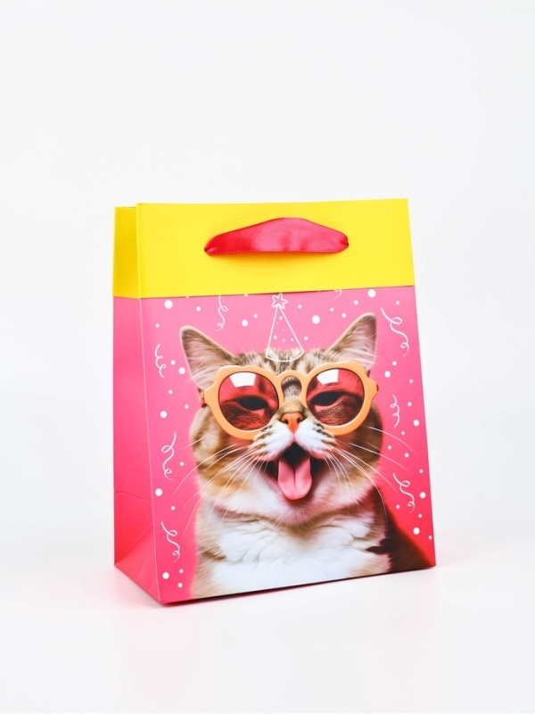 Пакет ламинированный двухсторонний &laquo;Котик&raquo;, MS 18 &times; 23 &times; 10 см