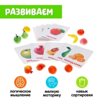 Обучающий набор по методике Г. Домана &laquo;Фрукты&raquo;: 10 карточек + 10 фруктов, счётный материал, МИКС