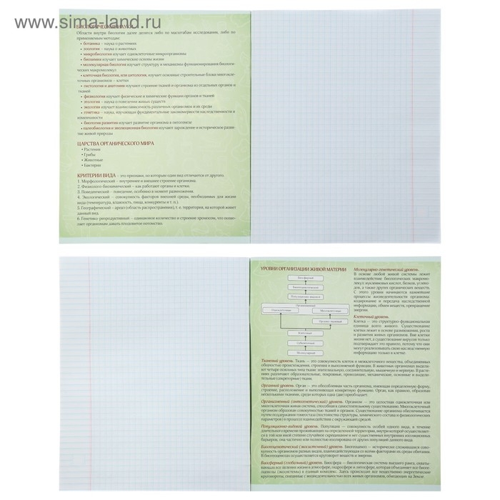 Комплект предметных тетрадей 48 листов &laquo;Неон&raquo;, 10 предметов со справочным материалом, обложка мелованный картон, УФ-лак, блок офсет