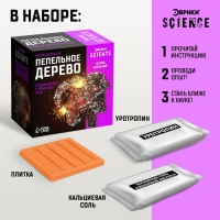 Набор для опытов &laquo;Пепельное дерево&raquo;