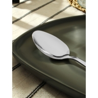 Ложка столовая из нержавеющей стали &laquo;Хоккайдо&raquo;, длина 20,5 см, цвет серебряный