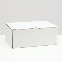 Коробка-пенал, белая, 26 х 19 х 10 см