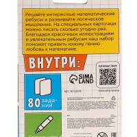 Развивающий набор "Математические ребусы"