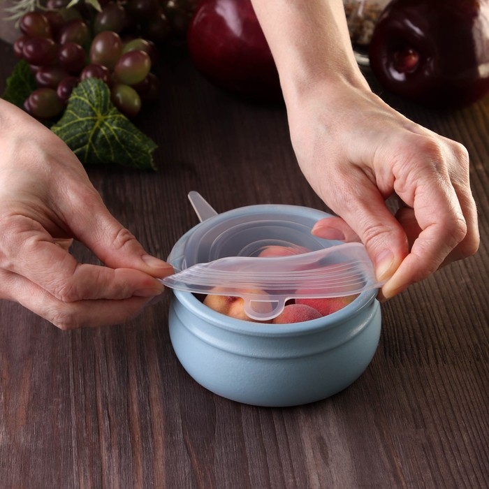 Набор крышек силиконовых Доляна &laquo;Черепашка&raquo;, 6 шт, d=19,2 см, d=15,7 см, d=14 см, d=11,2 см, d=9,2 см, d=6,2 см