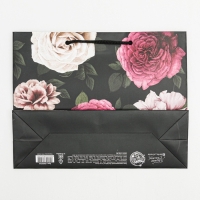 Пакет подарочный ламинированный горизонтальный, упаковка, &laquo;Для самой лучшей&raquo;, MS 23 х 18 х 8 см