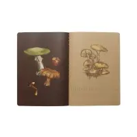 Тетрадь 40л кл BrunoVisconti. FLORA.Грибная феерия