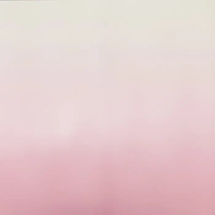 Пленка для цветов матовая, &laquo;Перелив&raquo;, 57&times;58 см, розовый