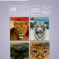 Тетрадь 48 листов в клетку, Calligrata &laquo;Дикие кошки&raquo;, обложка мелованная бумага, МИКС