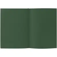 Ежедневник Flat, недатированный, зеленый