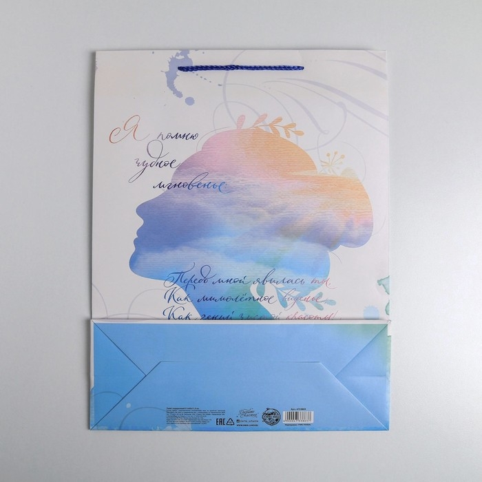 Пакет подарочный ламинированный вертикальный, упаковка, &laquo;Чудное мгновенье&raquo;, L 31 х 40 х 11,5 см