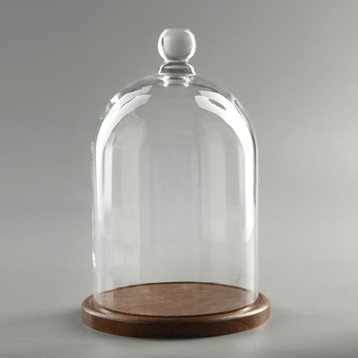 Стеклянный купол-клош с шариком на подставке "Родрик", 24х15 см, стекло, коричневый