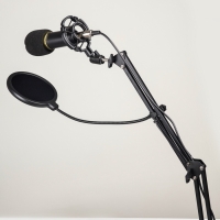 Микрофон конденсаторный Music Life золотой: кабель, ветрозащита, стойка