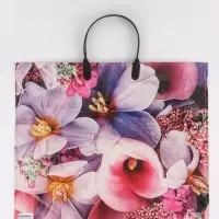 Пакет "Ванда", полиэтиленовый с пластиковой ручкой, 38 х 34 + 3 см, 90 мкм