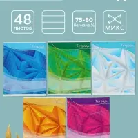 Тетрадь 48 листов в линейку Calligrata &laquo;Графика-2&raquo;, обложка мелованный картон, блок №2, белизна 75% (серые листы), МИКС