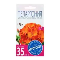 Набор семян комнатных Пеларгония "Oранж", 3 шт.