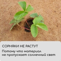 Круг приствольный, d = 0,6 м, из кокосового полотна, набор 5 шт., &laquo;Мульчаграм&raquo;