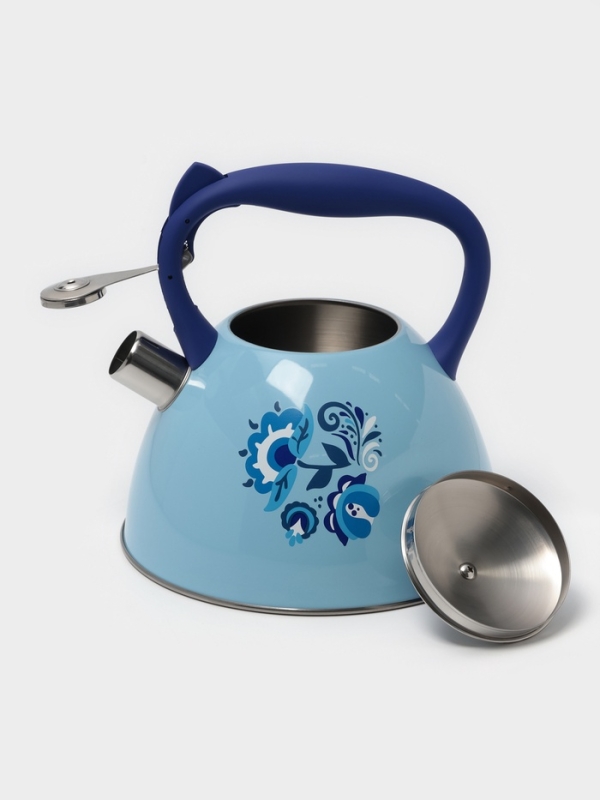 Чайник со свистком из нержавеющей стали Доляна &laquo;Свиристель&raquo;, 3 л, цвет голубой