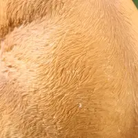 Фигурка полистоун TAKE IT EASY &laquo;Зайчиха с зайчонком&raquo;, 13&times;12&times;25 см