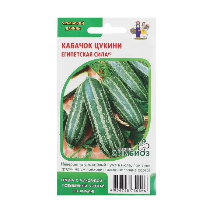 Семена Кабачок "Египетская Сила", 10 шт.