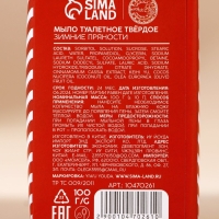 Новый Год. Мыло для рук кусковое Warm winter, 80 г, аромат зимних пряностей