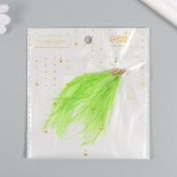 Декор для творчества перо "Кисть Страус" набор 2 шт  зелёный 9х0,5 см