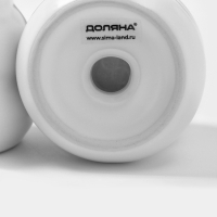 Набор для специй Доляна &laquo;Зефир&raquo;, солонка, перечница, 100 мл, керамика, белый