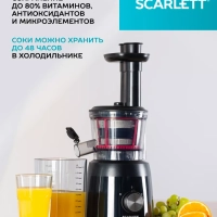 Соковыжималка электрическая шнековая SC-JE50S54