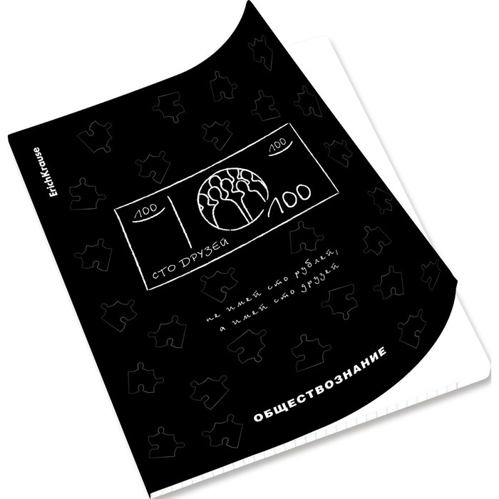 Комплект предметных тетрадей 48 листов, 12 штук, ErichKrause "Зри в корень", пластиковая обложка, шелкография, блок офсет 100% белизна, инфо-блок