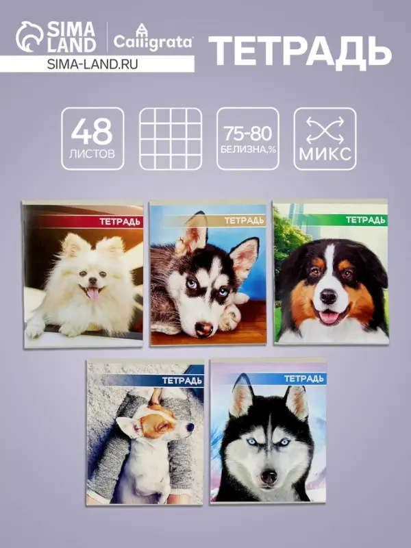 Тетрадь 48 листов в клетку Calligrata &laquo;Собачьи мордочки&raquo;, обложка мелованный картон, блок №2, белизна 75% (серые листы), МИКС