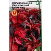 Семена Амарант овощной краснолистный Багрянец 100 шт