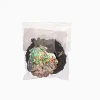 Кулон "Морское сокровище" ракушка абалон 25 см