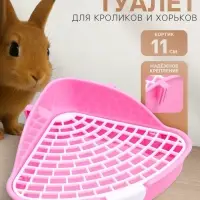 Туалет угловой для кроликов и хорьков "Пижон", 24 х 18 х 11 см, розовый