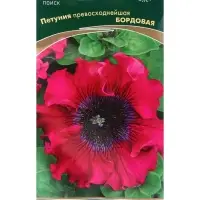 Семена цветов Петуния превосходнейшая Бордовая, 10шт