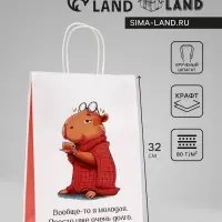 Пакет подарочный бумажный, &laquo;Молодая&raquo;, 24&times;10.5&times;32 см