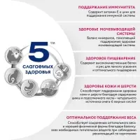 Влажный корм Perfect Fit для котят, курица, пауч,  75 г