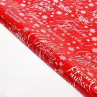 Плёнка упаковочная голография &laquo;Сюрприз внутри&raquo;, 100 х 70 см