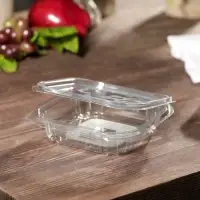 Контейнер одноразовый с неразъёмной крышкой КР-СК, пластик, 250 мл, 13.7&times;13.7&times;3.5 см, прозрачный