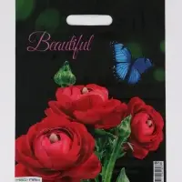 Пакет "Прекрасный букет , полиэтиленовый с вырубной ручкой 30х40 см, 60 мкм