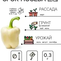 Семена Перец сладкий "Белозёрка", 0,3 г
