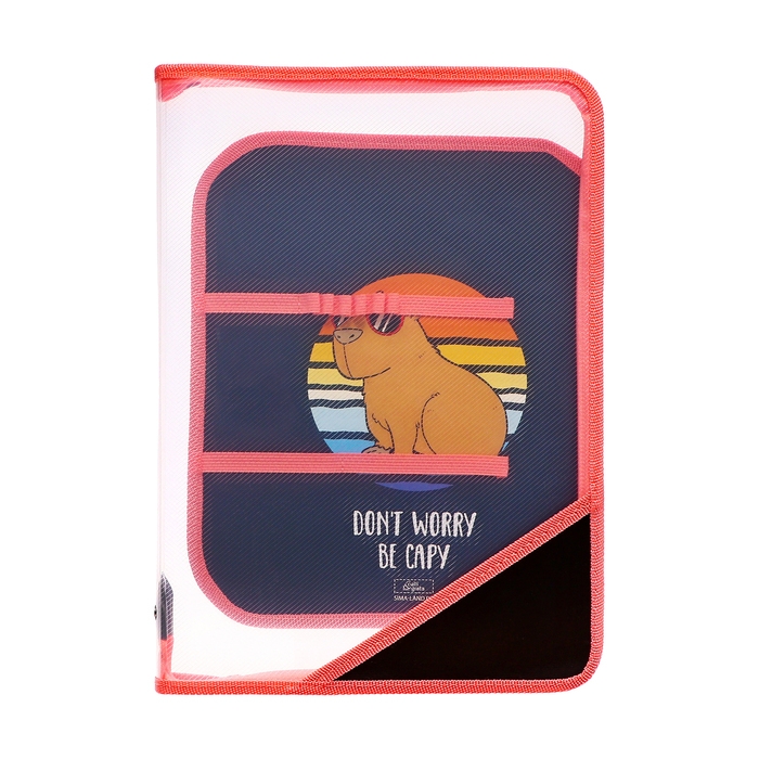 Папка д/труда А4 молния вокруг/откидная планка пластик ПТР-1 Calligrata дев "Be capy"