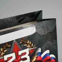 Пакет подарочный ламинированный вертикальный, упаковка, &laquo;23 февраля&raquo;, MS 23 х 18 х 10 см