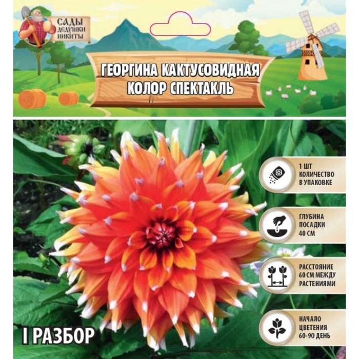 Прищепки бельевые &laquo;Тюльпаны&raquo;, 8,5 см, 12 шт, цвет МИКС