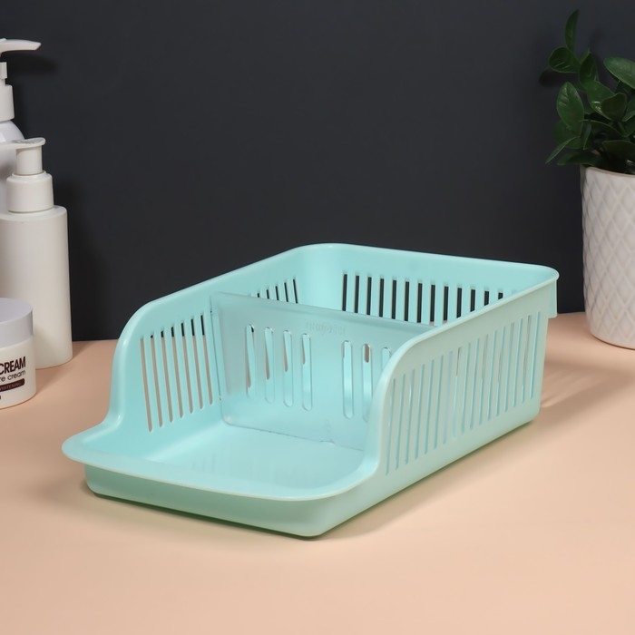 Органайзер для хранения косметических принадлежностей &laquo;Prestige&raquo;, 2 секции, 23 &times; 16,1 см, цвет мятный