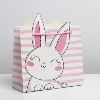 Пакет подарочный, упаковка, &laquo;Best day&raquo;, 25 х 26 х 10 см